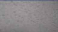 20250410_072002.jpg 