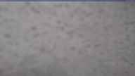 20250410_074002.jpg 