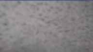 20250410_080002.jpg 