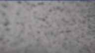20250410_084001.jpg 