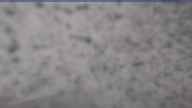 20250410_090001.jpg 