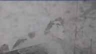 20250410_094002.jpg 