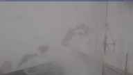 20250410_120002.jpg 