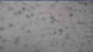 20250410_144001.jpg 
