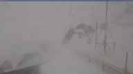 20250413_080002.jpg 