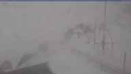 20250413_090002.jpg 