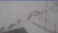 20250413_102002.jpg 