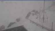 20250413_110002.jpg 