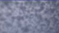 20250414_070002.jpg 