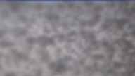 20250414_074002.jpg 