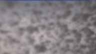 20250414_084001.jpg 