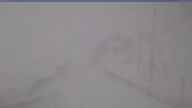 20250415_062002.jpg 