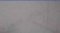 20250415_080001.jpg 