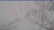 20250415_120002.jpg 