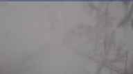 20250415_124001.jpg 