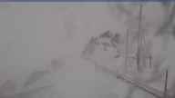 20250415_130001.jpg 