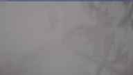 20250415_134002.jpg 