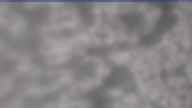 20250416_064002.jpg 