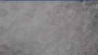 20250418_080002.jpg 