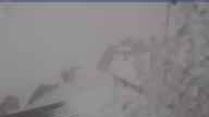 20250418_084002.jpg 