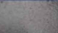 20250419_074002.jpg 