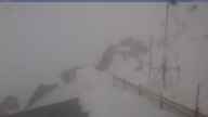 20250419_090002.jpg 