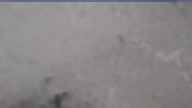 20250420_064002.jpg 
