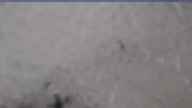 20250420_070002.jpg 