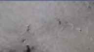 20250420_080001.jpg 