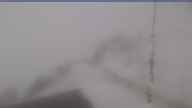 20250420_130002.jpg 