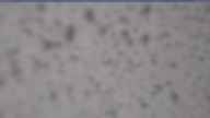 20250429_062002.jpg 