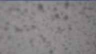 20250429_064002.jpg 
