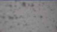 20250429_070002.jpg 