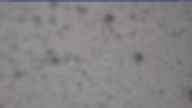20250429_072002.jpg 