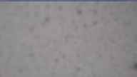 20250429_074002.jpg 