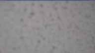 20250429_080001.jpg 