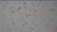 20250429_082002.jpg 