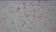 20250429_090001.jpg 