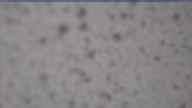 20250429_094001.jpg 