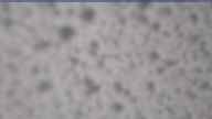 20250429_110002.jpg 