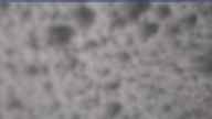 20250429_140002.jpg 