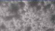20250429_160001.jpg 