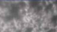 20250429_164002.jpg 