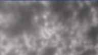 20250429_170002.jpg 