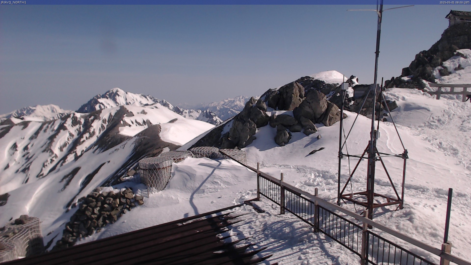 live camera picture