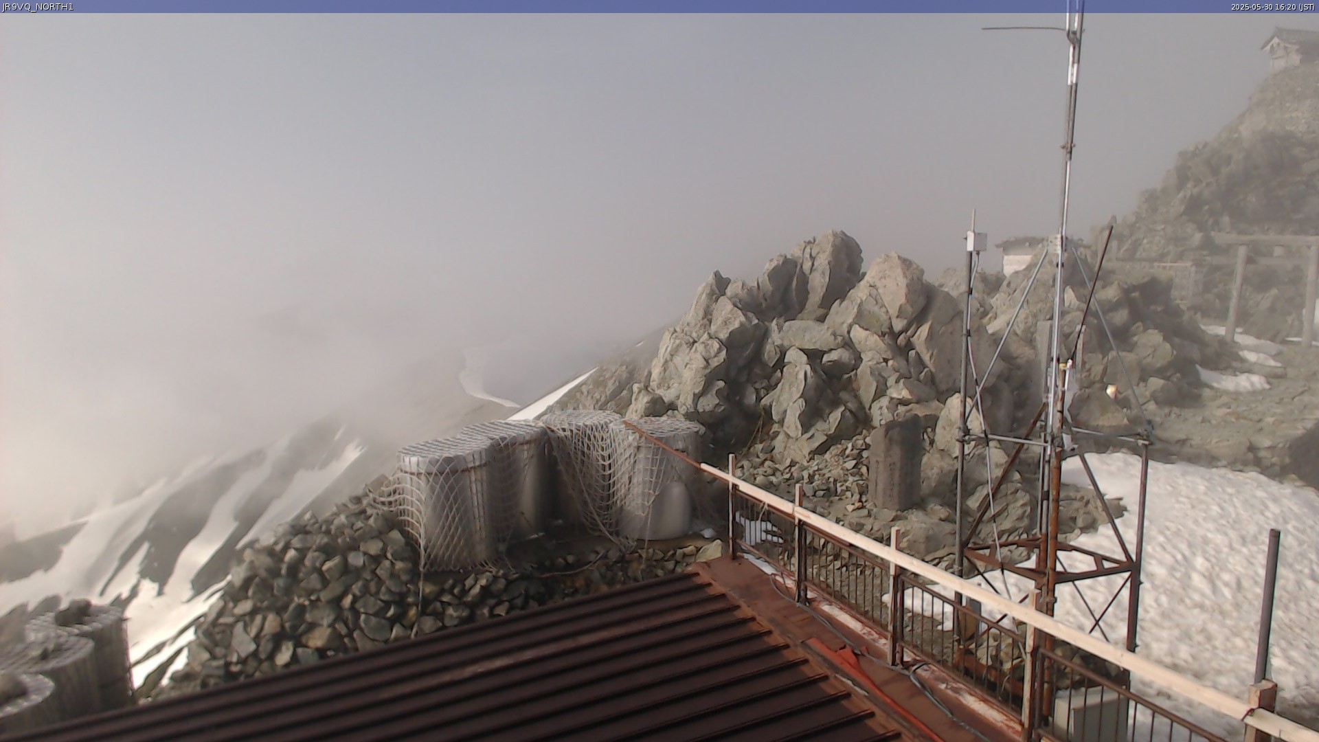 live camera picture