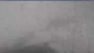 20250502_072002.jpg 