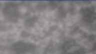 20250504_080002.jpg 