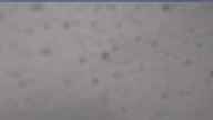 20250506_064002.jpg 