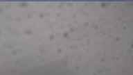 20250506_070002.jpg 